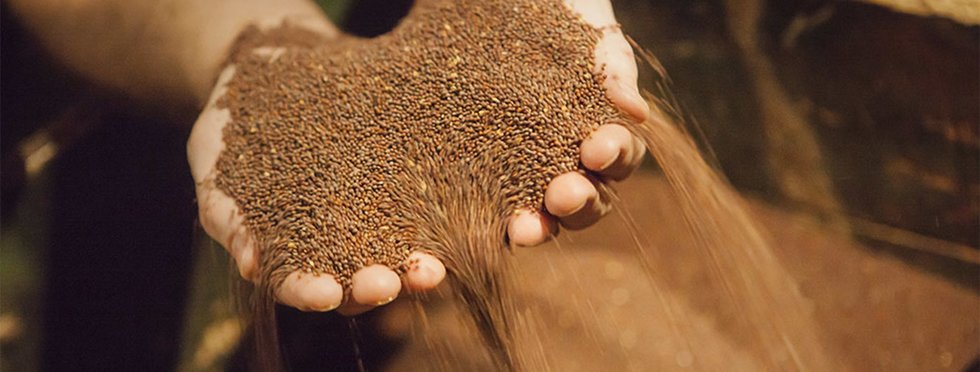 Edmond Fallot: scopri i prodotti