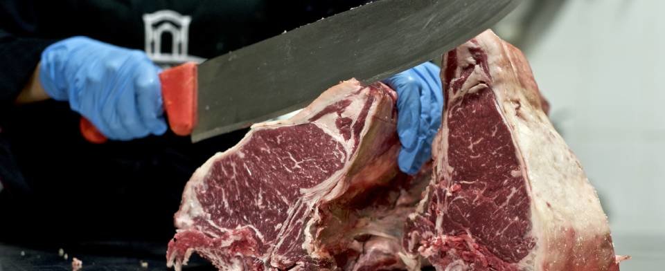 Jolanda de Colò: scopri i prodotti